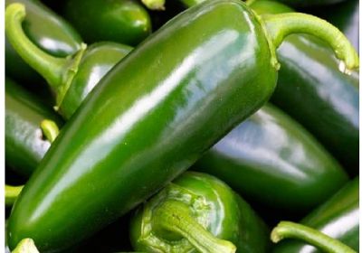 CHILE JALAPENO