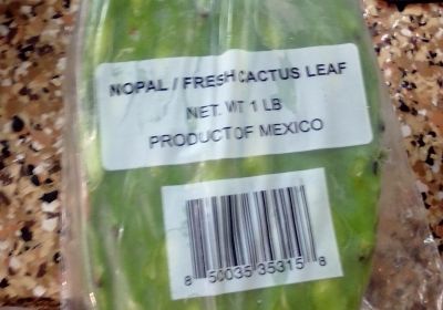 NOPALES/CACTUS