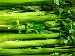 Celery-Bunch, large