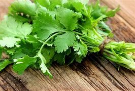 Cilantro