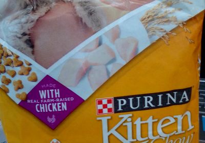 PURINA KITTEN