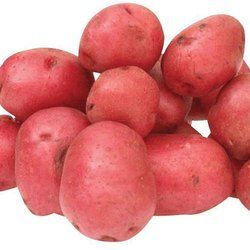 RED POTATO