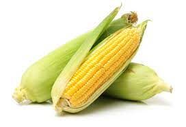 CORN