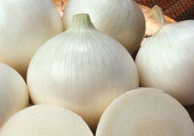 WHITE ONION