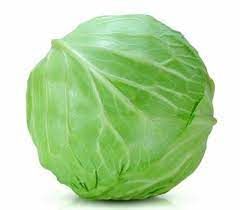 CABBAGE