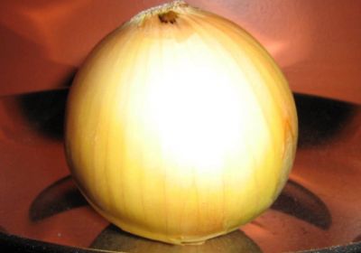 YELLOW ONION